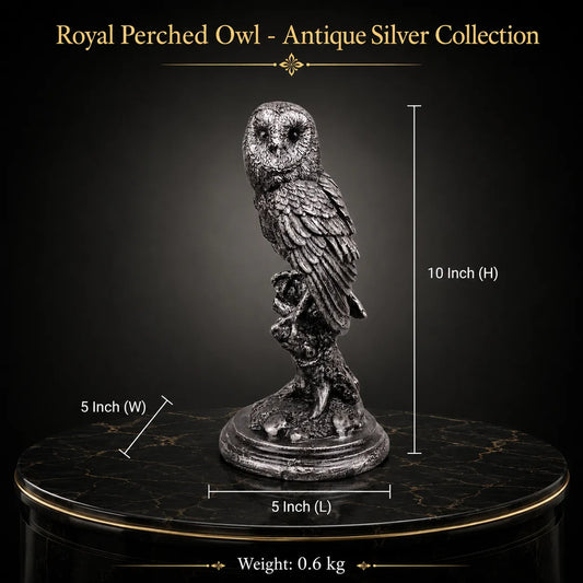 Royal Perched Owl - Antique Silver Collection
