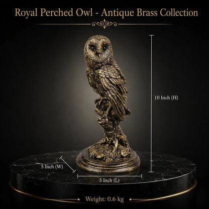 Royal Perched Owl - Antique Brass Collection