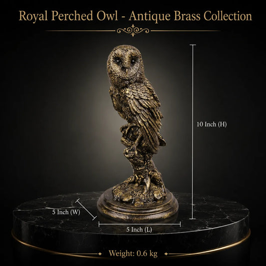 Royal Perched Owl - Antique Brass Collection