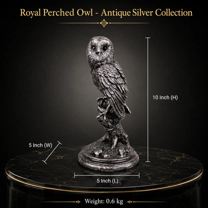 Royal Perched Owl - Antique Silver Collection