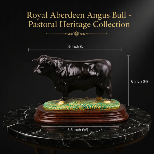 Royal Aberdeen Angus Bull - Pastoral Heritage Collection