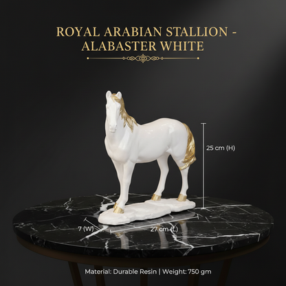 Royal Arabian Stallion - Alabaster White